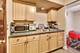 5113 N East River Unit 1M, Chicago, IL 60656