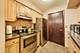 5113 N East River Unit 1M, Chicago, IL 60656