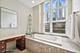 417 E North Water, Chicago, IL 60611