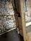 7005 34th, Berwyn, IL 60402