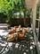 743 Dundee, Barrington, IL 60010