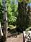 743 Dundee, Barrington, IL 60010