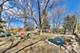 810 Woodhollow, Buffalo Grove, IL 60089