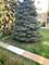 6433 W Belle Plaine Unit 209, Chicago, IL 60634