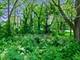 13071 Promontory, Roscoe, IL 61073