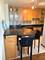 4250 N Marine Unit 1404, Chicago, IL 60613