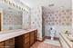 3801 N Newcastle, Chicago, IL 60634