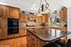 3801 N Newcastle, Chicago, IL 60634