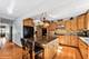 3801 N Newcastle, Chicago, IL 60634