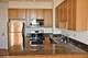 1464 S Michigan Unit 2306, Chicago, IL 60605