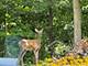 2030 Burke, Winthrop Harbor, IL 60096
