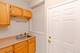 429 E Oakwood Unit 11, Chicago, IL 60653
