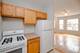 429 E Oakwood Unit 11, Chicago, IL 60653