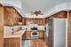 8025 Shoshone, Tinley Park, IL 60477