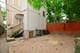 2113 N Bingham Unit 1, Chicago, IL 60647