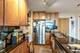9655 Woods Unit 1009, Skokie, IL 60077