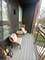 933 W Belle Plaine Unit 305, Chicago, IL 60613