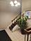2149 Country Club Unit 16, Woodridge, IL 60517