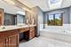1343 Dunrobin, Naperville, IL 60540