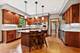 1343 Dunrobin, Naperville, IL 60540