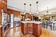 1343 Dunrobin, Naperville, IL 60540