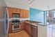 1819 S Michigan Unit 406, Chicago, IL 60616