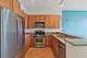 1819 S Michigan Unit 406, Chicago, IL 60616