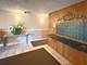 8025 Woodglen Unit 307, Downers Grove, IL 60516