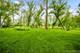 5N597 Hidden Springs, St. Charles, IL 60175