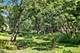 434C Woodview Unit C, Lake Barrington, IL 60010