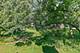 434C Woodview Unit C, Lake Barrington, IL 60010