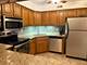18400 Cherry Creek Unit 409, Homewood, IL 60430