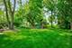 201 E Schiller, Elmhurst, IL 60126