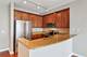 1841 S Calumet Unit 1302, Chicago, IL 60616