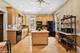 6743 N Greenview, Chicago, IL 60626