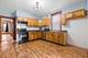 2219 S 60th, Cicero, IL 60804