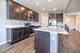 738 Kentshire, Elgin, IL 60124