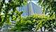 4250 N Marine Unit 510, Chicago, IL 60613