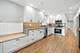 7441 N Oriole, Chicago, IL 60631