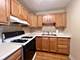 3001 S Michigan Unit 909, Chicago, IL 60616