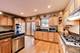 3245 S Aberdeen, Chicago, IL 60608