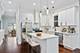 1039 N Monticello, Chicago, IL 60651