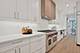 1646 N Orchard Unit 1S, Chicago, IL 60614
