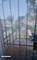 5341 S Aberdeen, Chicago, IL 60609