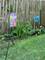 2323 Clyde, Homewood, IL 60430