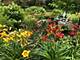 9021 W 123rd, Palos Park, IL 60464