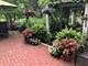 9021 W 123rd, Palos Park, IL 60464