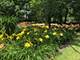 9021 W 123rd, Palos Park, IL 60464