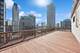 33 E Cedar Unit 8G, Chicago, IL 60611