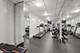 33 E Cedar Unit 8G, Chicago, IL 60611